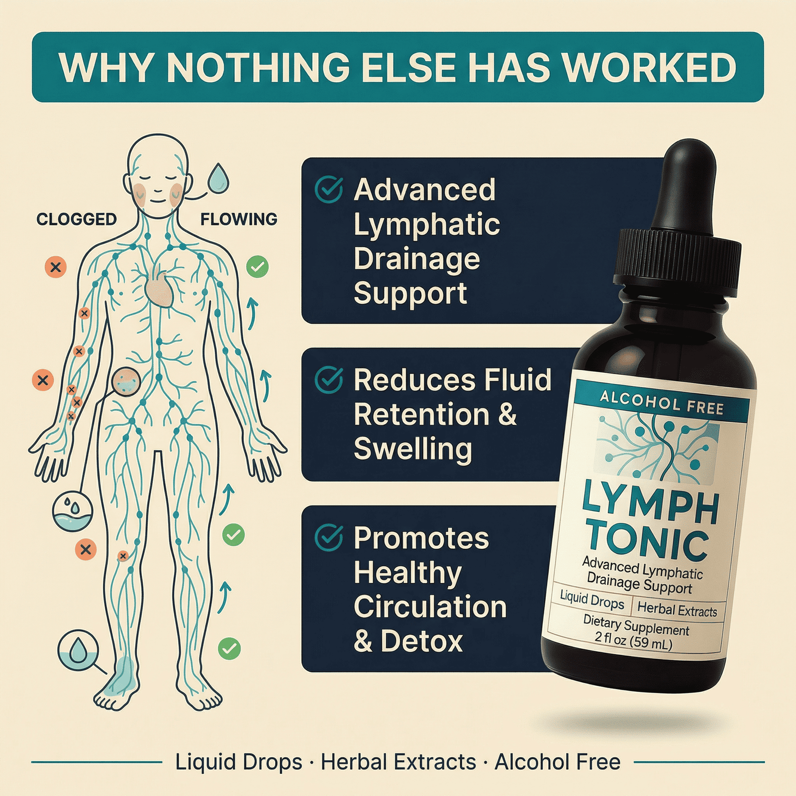 Lymph Tonic how it works infographic